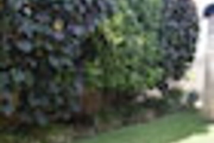 Property Grounds 38 of 48