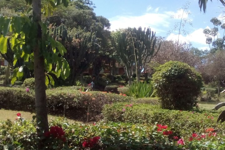 Property Grounds 28 of 39