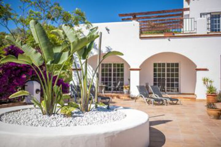 Terrace/Patio 7 of 11