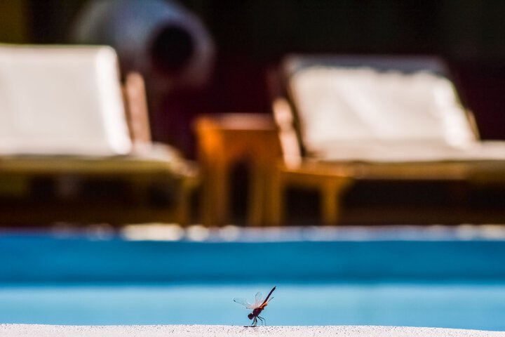 Pool 46 of 100