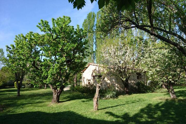 Photo 26