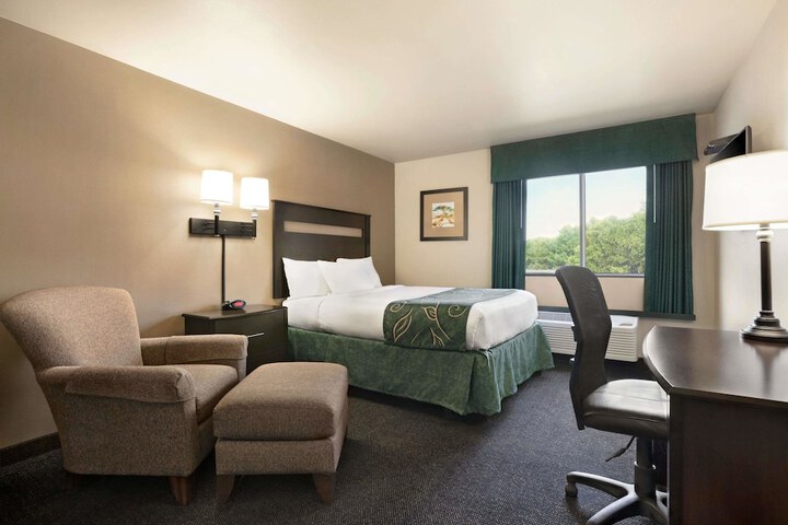 1 King Bed (3 of 6)