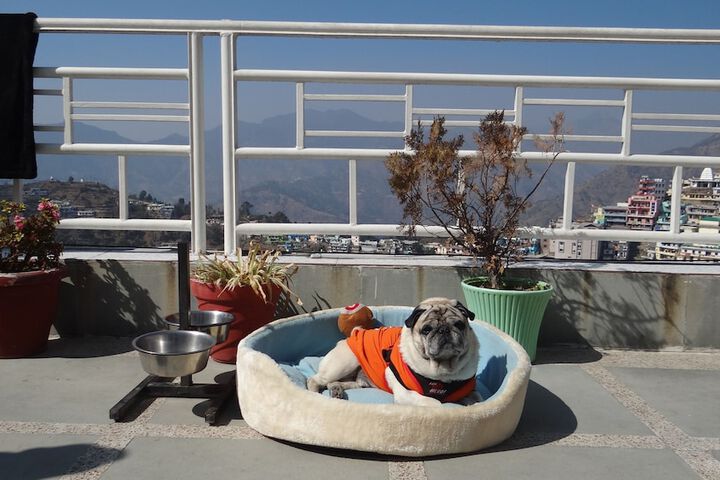 Terrace/Patio 59 of 113