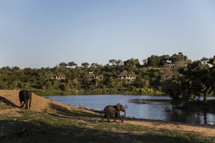 Game viewing