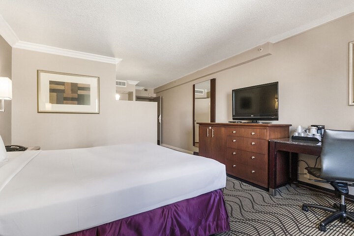 Standard King Bed Accessible (5 of 16)