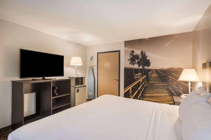 1 King Bed (10 of 15)