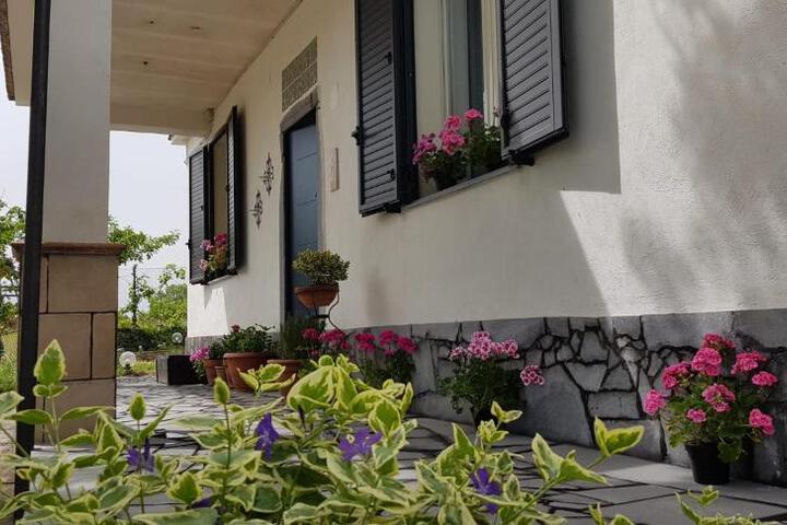 Etna salvia e rosmarino
