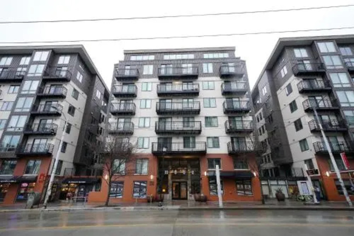 Image of Stay Alfred at Moda