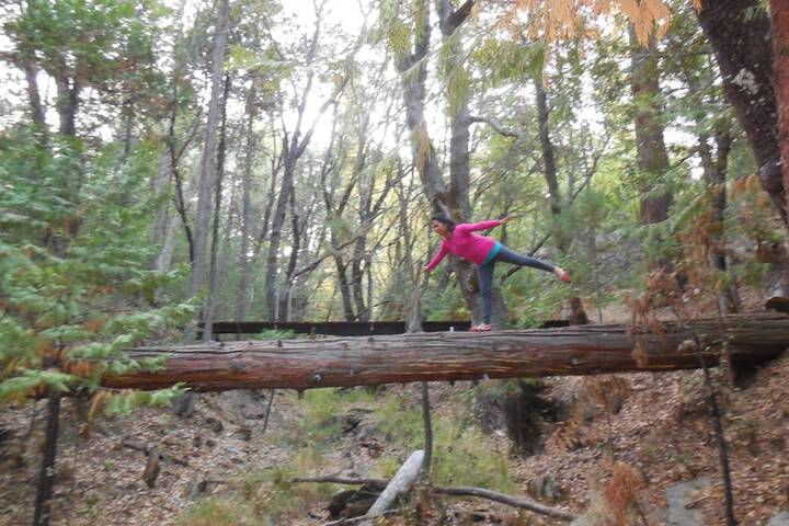 Property Grounds 22 of 40