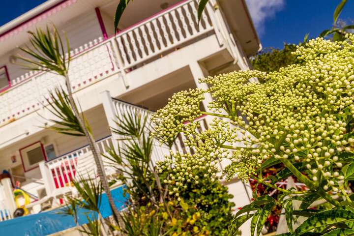 Hotel 58 of 62