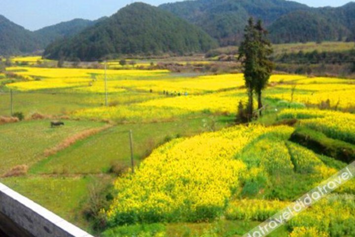 Tianyuan Jushe