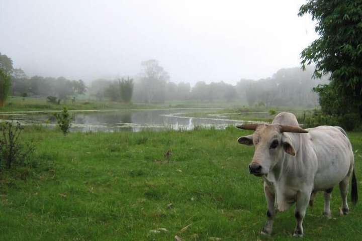 Property Grounds 18 of 29