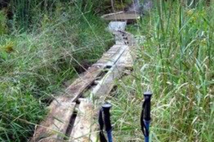 Property Grounds 17 of 19