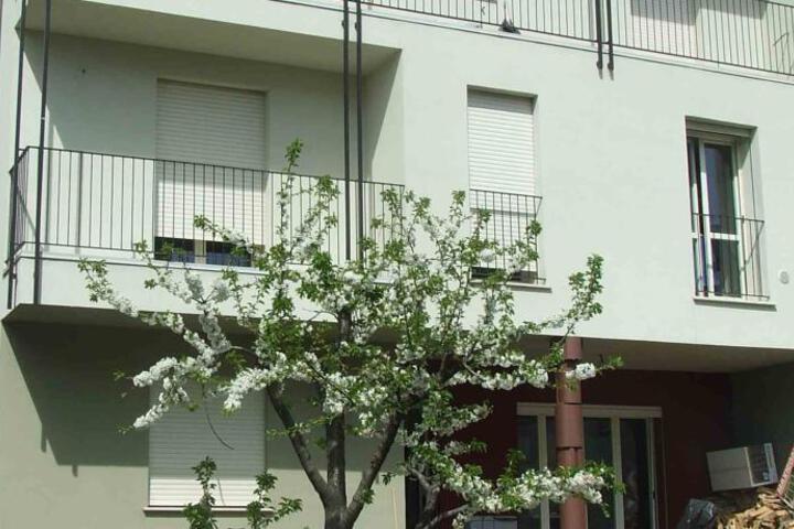 Photo of SICOMORO BED BREAKFAST