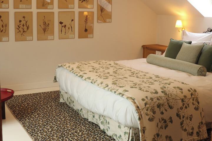 Room 6 of 25