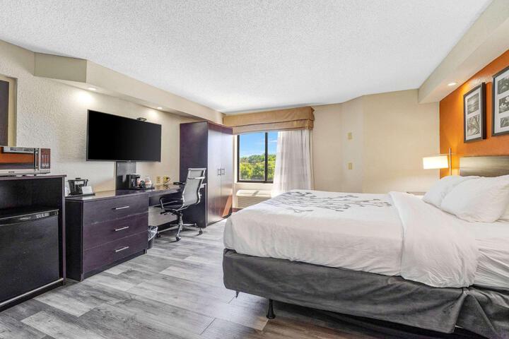 1 King Bed (4 of 7)