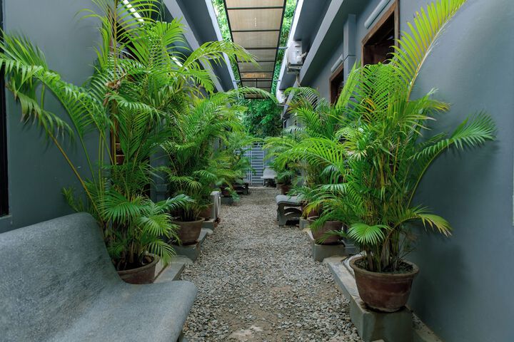 Terrace/Patio 33 of 62