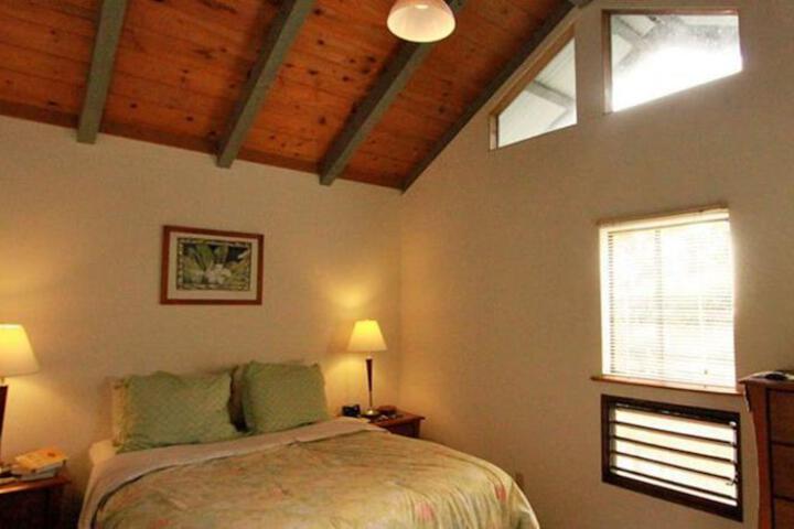 Image of HALE MARGARITA