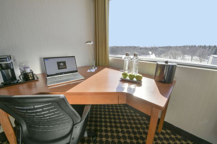 View from room