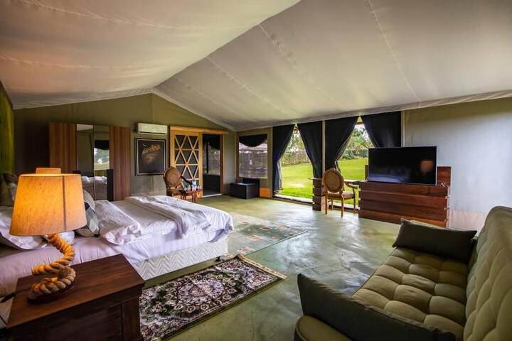 Room 3 of 38