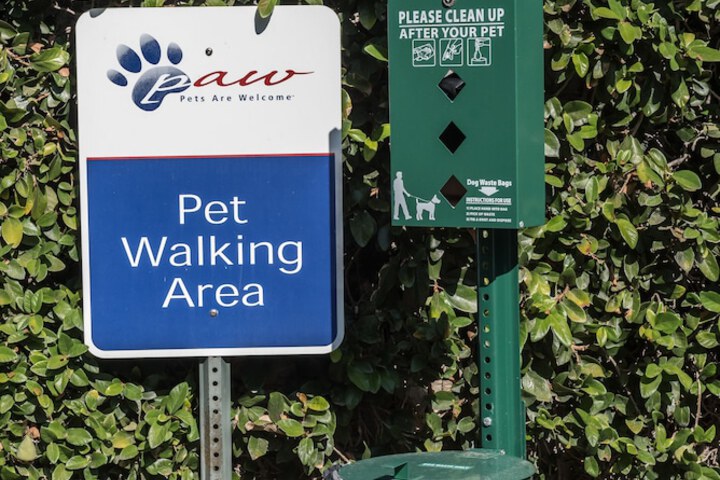 Pet-friendly