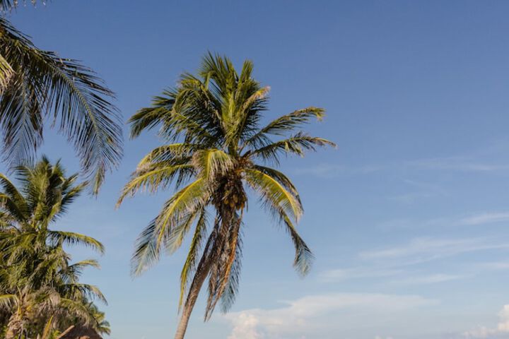 Beach 65 of 100