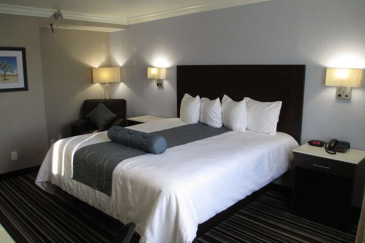 1 King Bed (8 of 12)