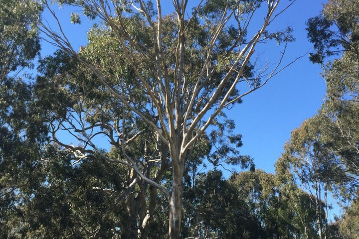 Hotel Exterior 11 of 21