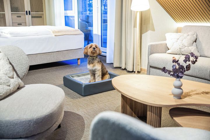 Pet-friendly