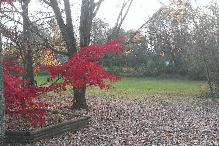 Property Grounds 26 of 47