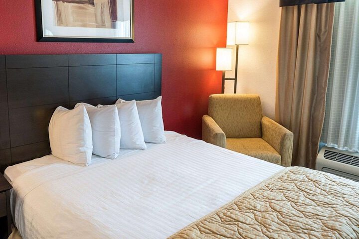1 King Bed (3 of 8)