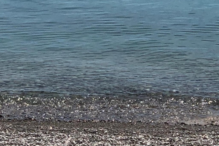 Beach 12 of 14