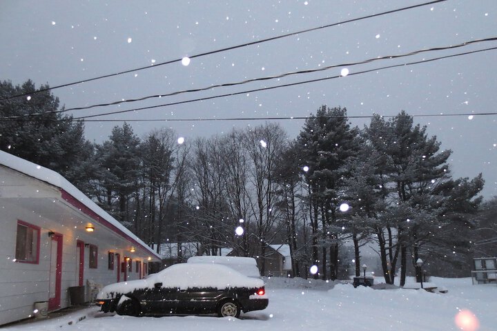 Property Grounds 17 of 28