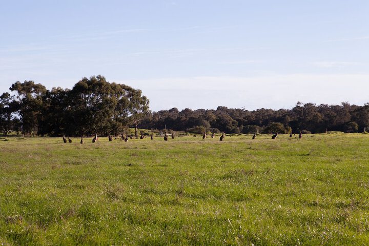 Property Grounds 25 of 50