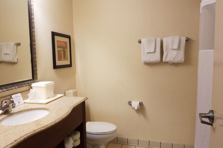 1 King Bed Suite (7 of 15)