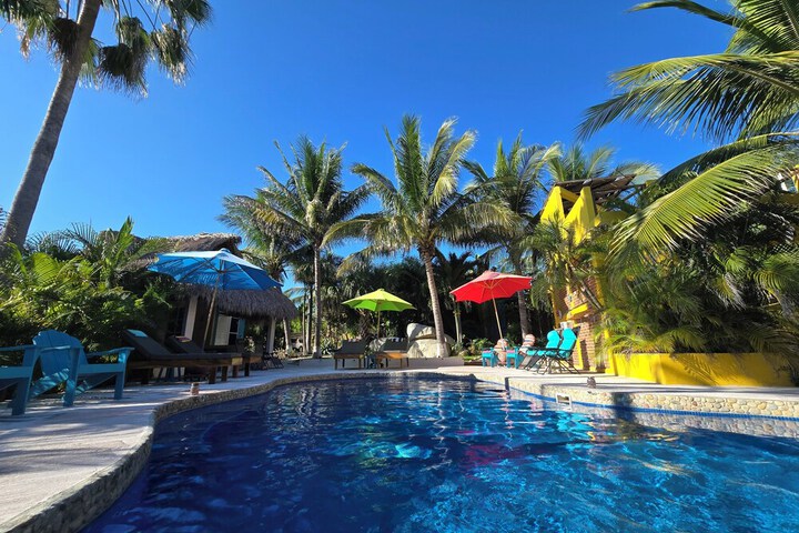 Pool 44 of 229