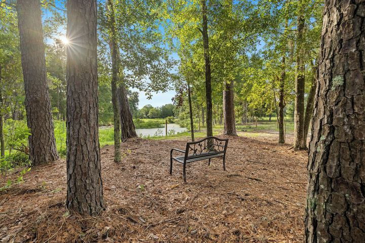 Property Grounds 16 of 18
