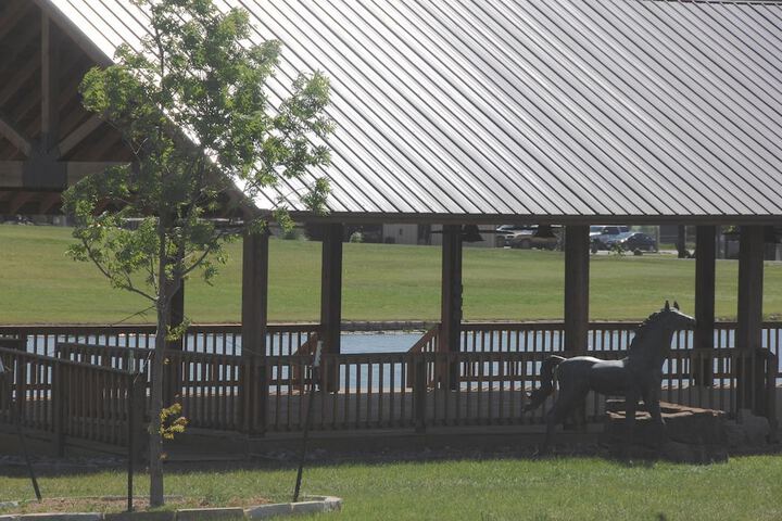 Property Grounds 46 of 79