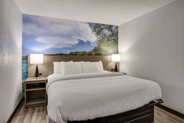 1 King Bed Suite (13 of 24)
