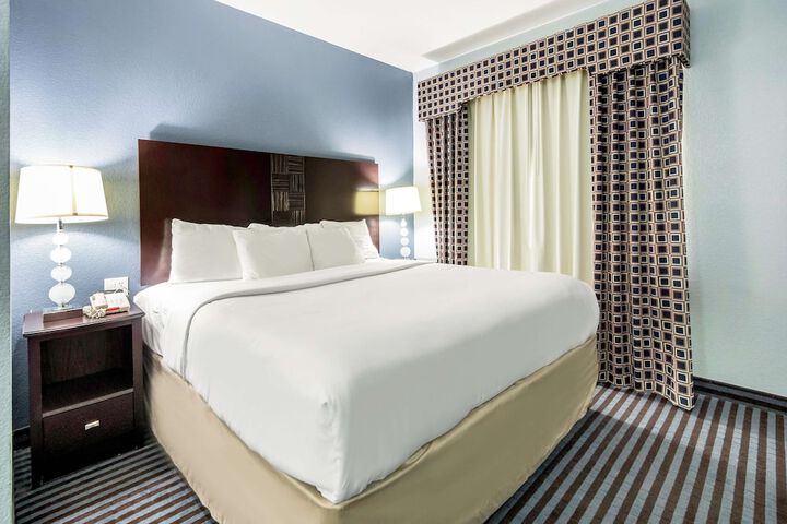 1 King Bed (2 of 8)