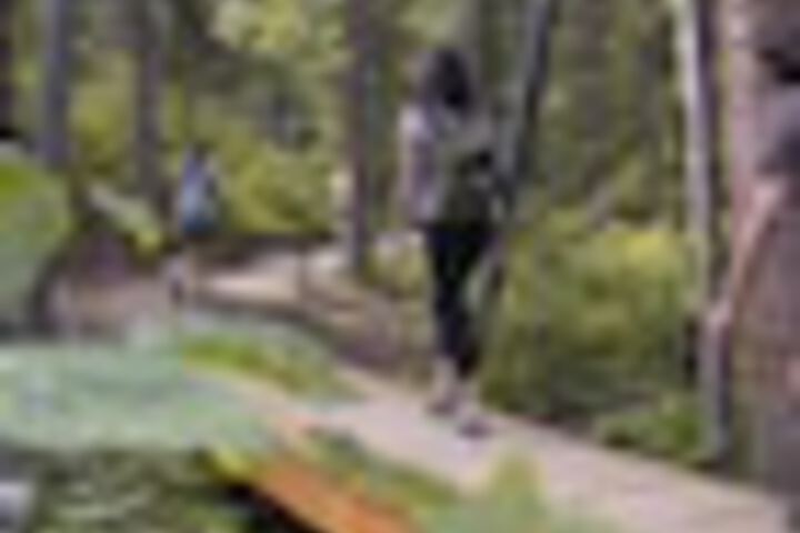 Outdoor Activities 56 of 168