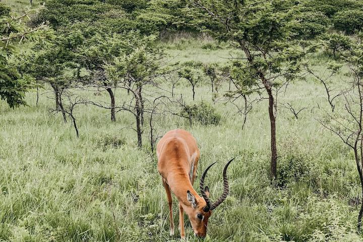 Property Grounds 20 of 24