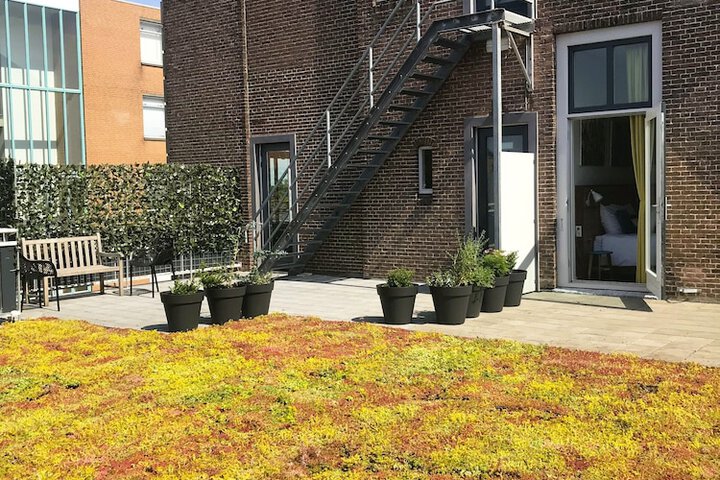Terrace/Patio 60 of 67