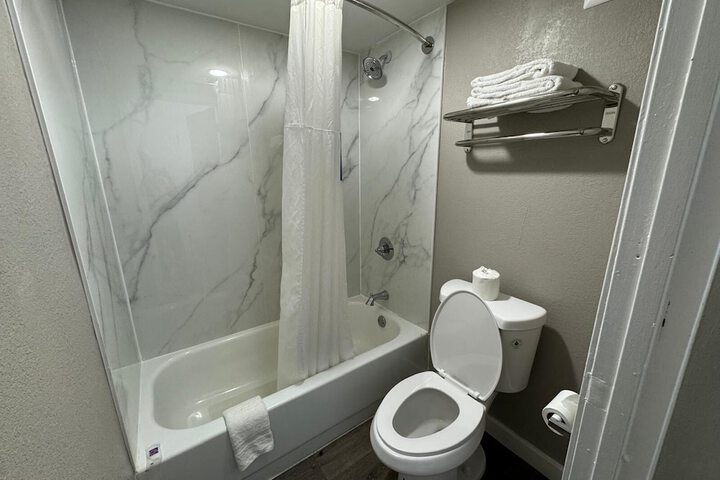 Deluxe Room 1 King Bed Accessible Bathtub (10 of 10)