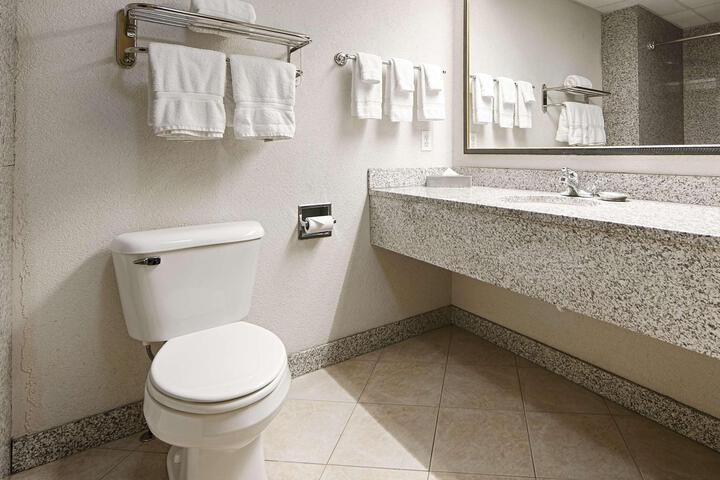 Accessible Suite King Bed Accessible Bathtub Microwave and Refrigerator WiFi Non S (19 of 39)