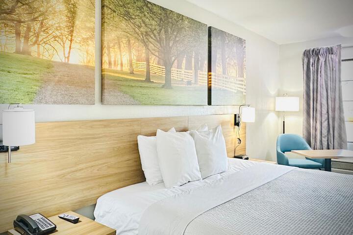 1 King Bed (8 of 13)