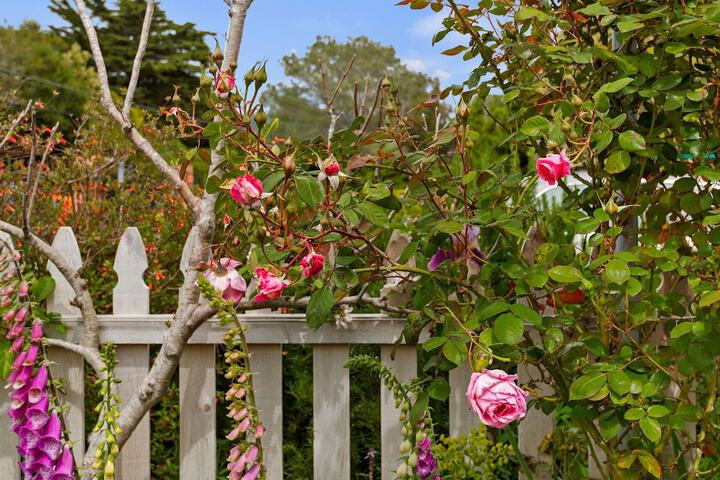 Property Grounds 27 of 35