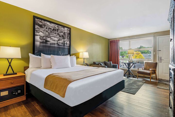 1 King Bed (15 of 18)