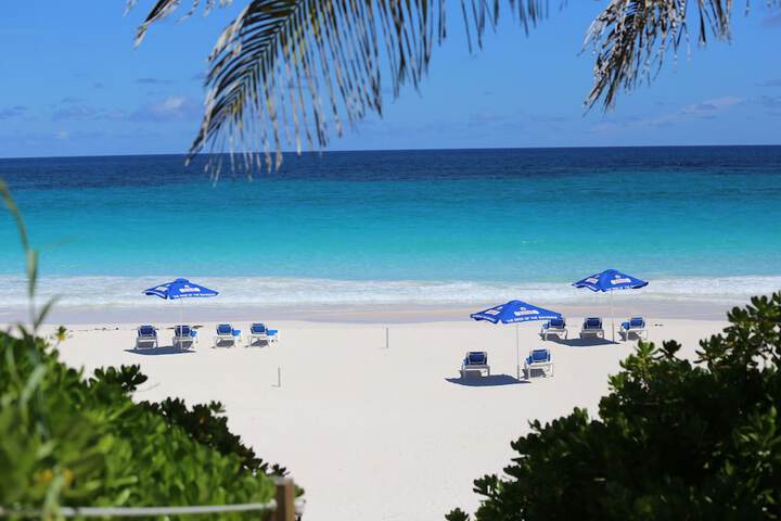 Beach 80 of 84