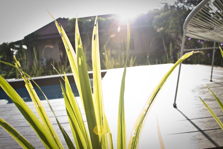 Pool 28 of 51